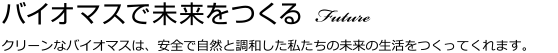 バイオマスで未来をつくる Future クリーンなバイオマスは、安全で自然と調和した私たちの未来の生活をつくってくれます。