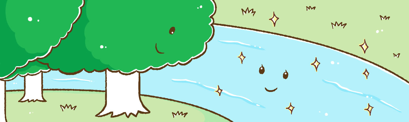 森を巡る水