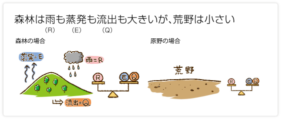 森林は雨も蒸発も流出も大きいが、荒野は小さい