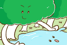 水源の森が水を貯める
