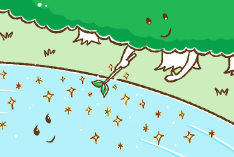 渓畔林が水をきれいにする