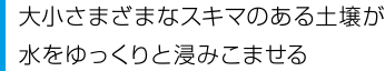 大小さまざまなスキマのある土壌が水をゆっくりと浸みこませる