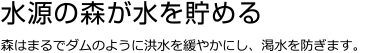 水源の森が水を貯める 森はまるでダムのように洪水を緩やかにし、渇水を防ぎます。