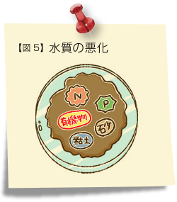 図5 水質の悪化