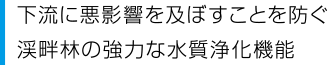 下流に悪影響を及ぼすことを防ぐ渓畔林の強力な水質浄化機能