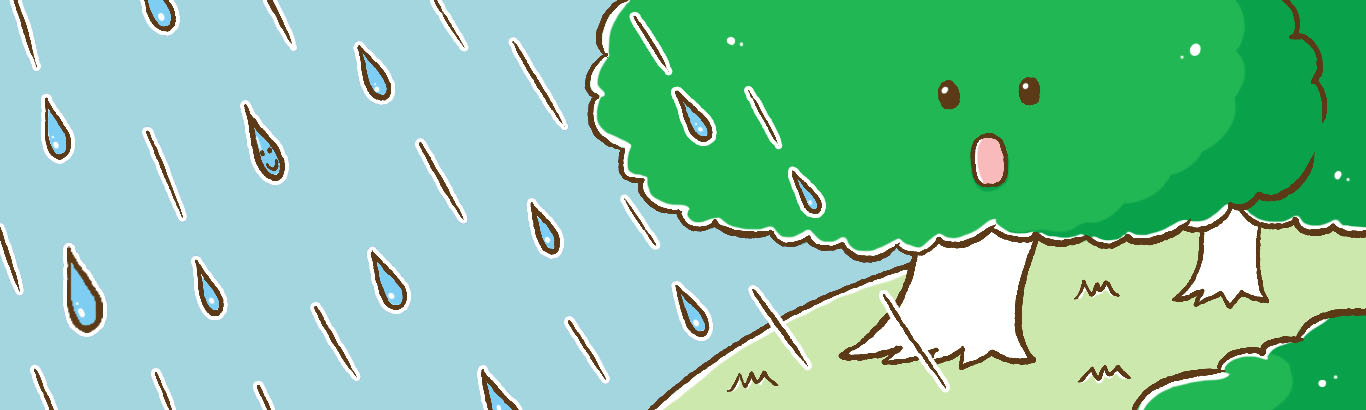 森林と水が与える影響