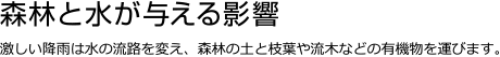 森林と水が与える影響 激しい降雨は水の流路を変え、森林の土と枝葉や流木などの有機物を運びます。