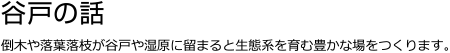 谷戸の話 倒木や落葉落枝が谷戸や湿原に留まると生態系を育む豊かな場をつくります。
