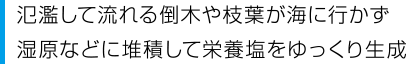 氾濫して流れる倒木や枝葉が海に行かず湿原などに堆積して栄養塩をゆっくり生成