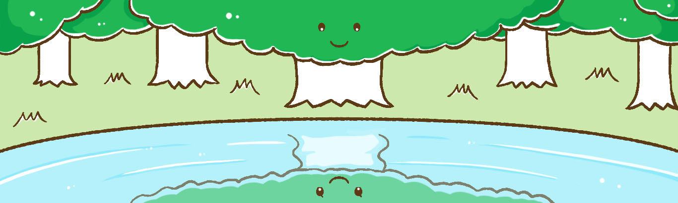 森と水の関係ってなんだろう？