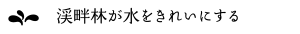渓畔林が水をきれいにする