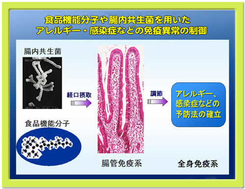 免疫異常の制御