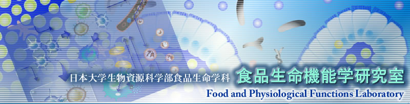 ���{��w ���������Ȋw�� �H�i�����w�� �H�i�����@�\�w������