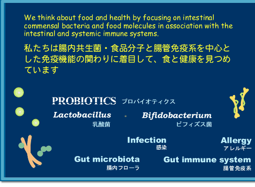 私たちは腸内共生菌・食品分子と腸管免疫系を中心とした免疫機能の関わりに着目して、食と健康を見つめています