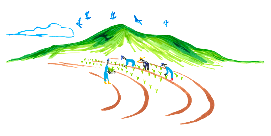 山と田んぼ