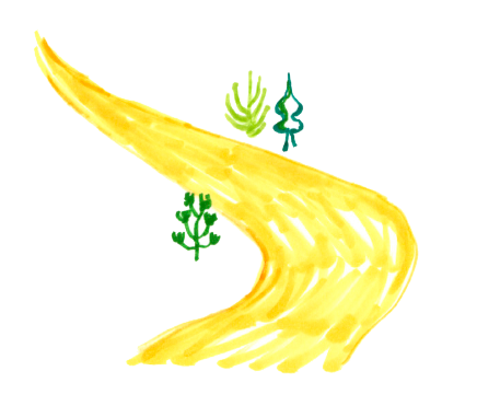 道