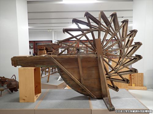 展示物