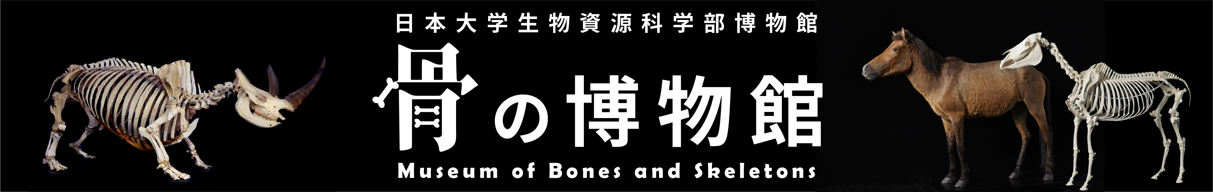 日本大学生物資源科学部博物館