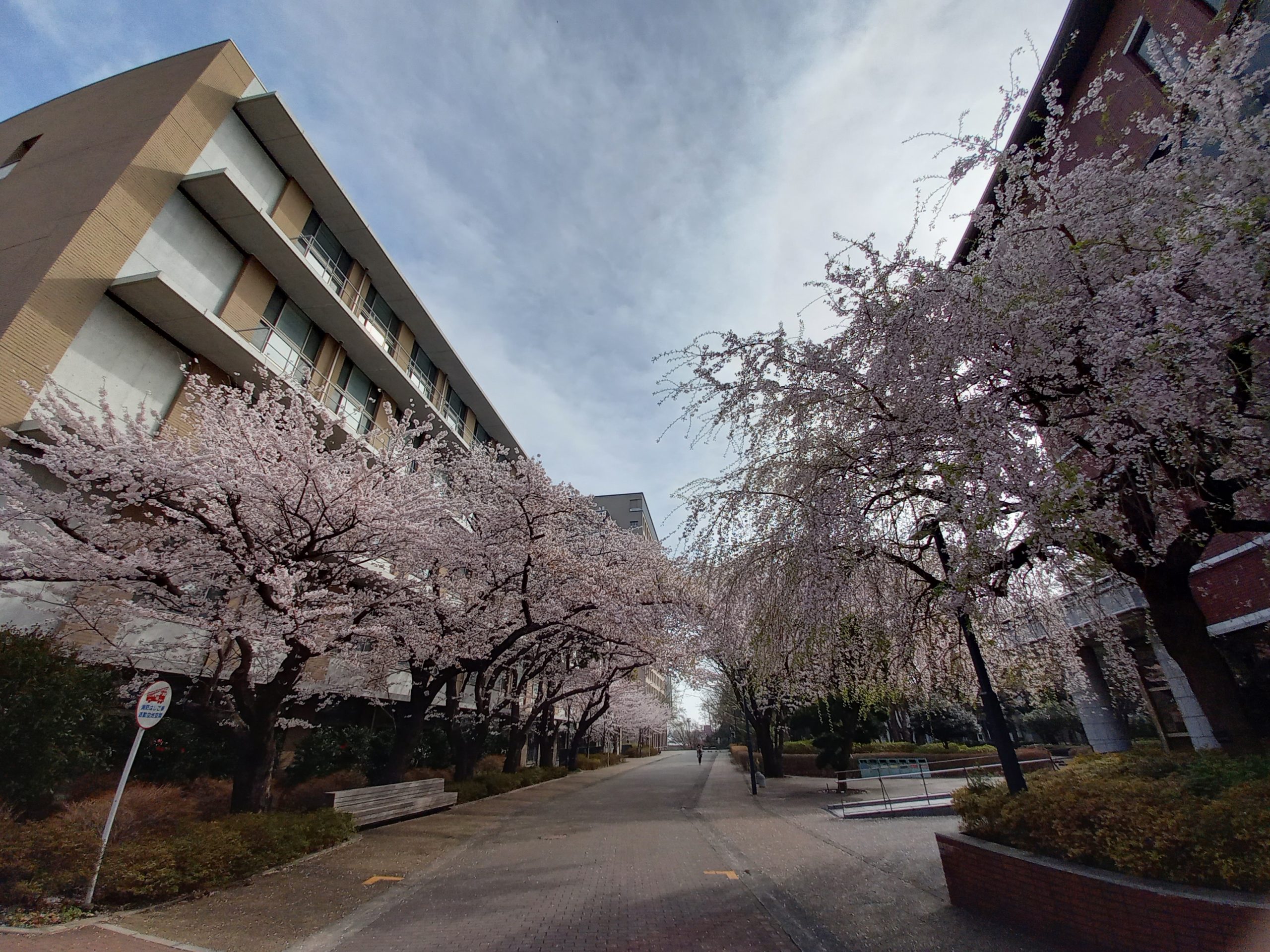 ご卒業おめでとうございます！