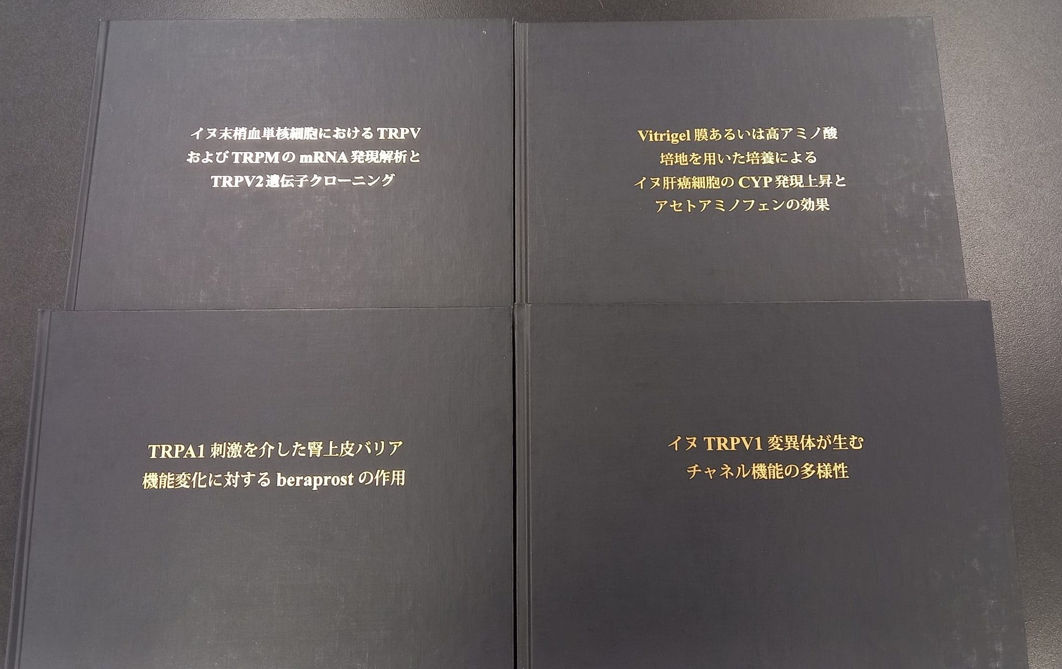 令和4年度卒業論文発表会がありました