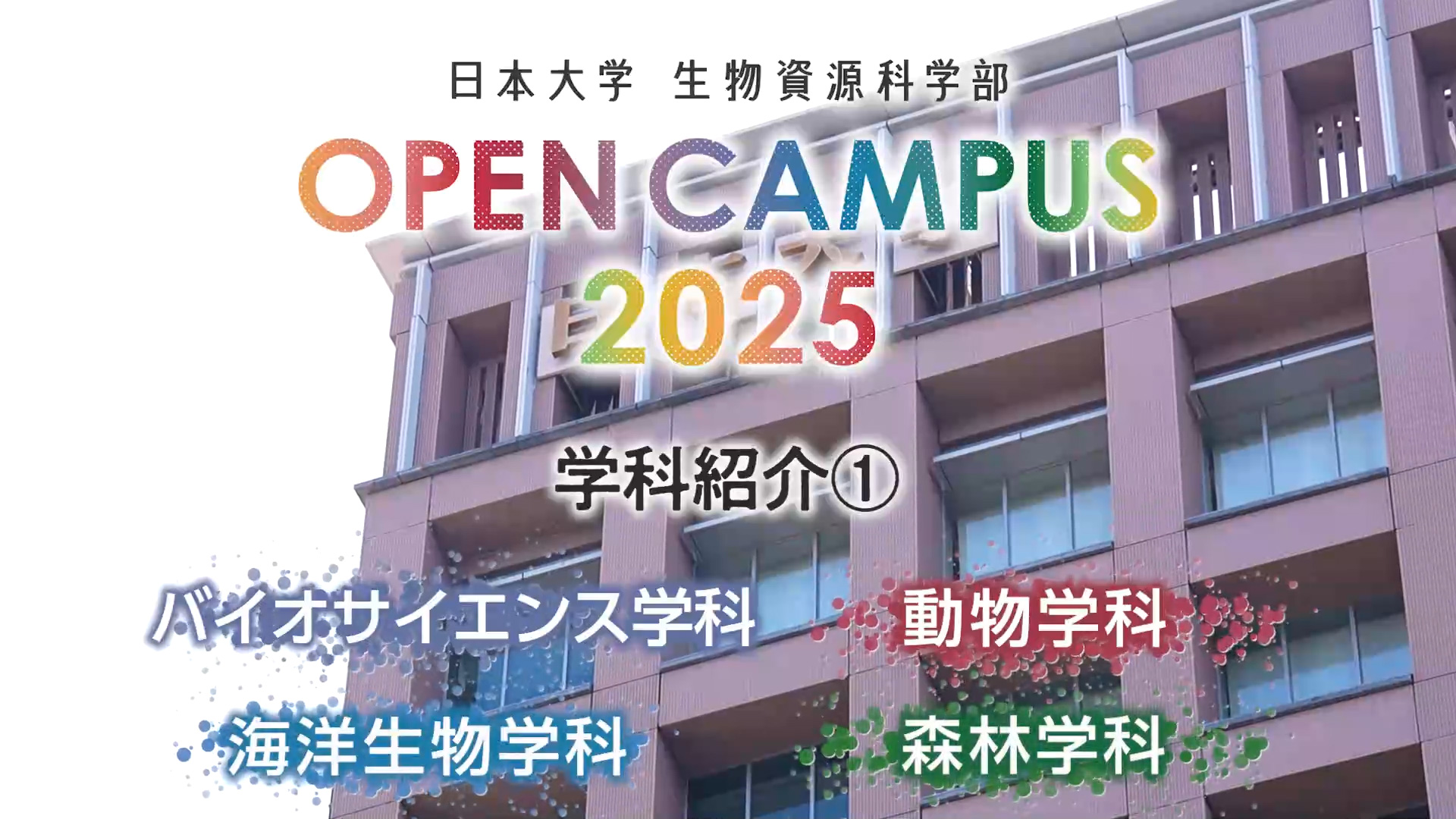 科学大観  世界文化社 第1号～24号（7号8号15号欠）科学大観別冊 科学問答 開催レポート | オープンキャンパス2026-日本大学生物資源科学部