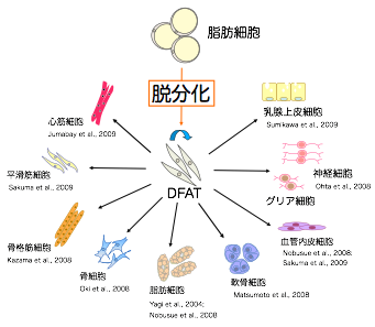 研究方針