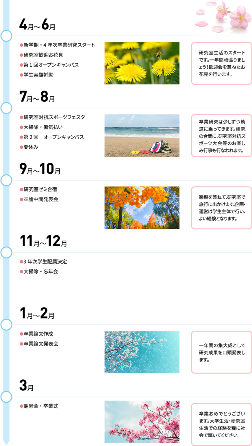 研究室の一年