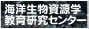 CmZ^[