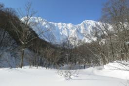mqo(2011/1/24)