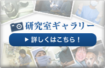 研究室ギャラリー｜詳しくはこちら！